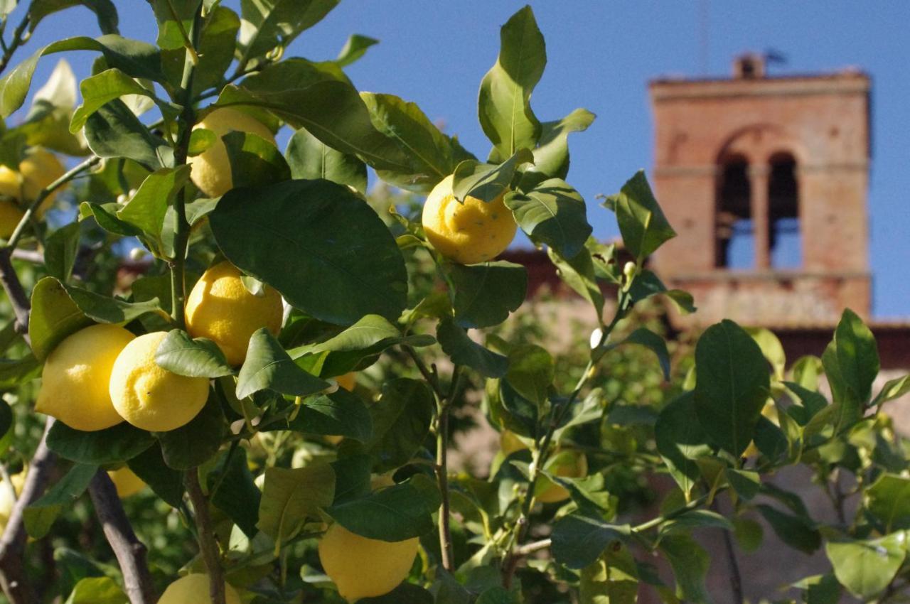 Monastero Sant'Anna In Camprena Villa Pienza Exterior foto